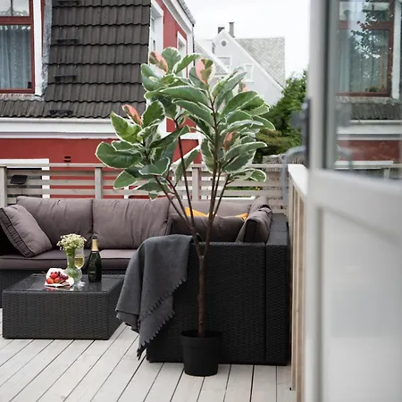 Lägenhet Spacious Apt, Big Roof Terrace, Free Parking