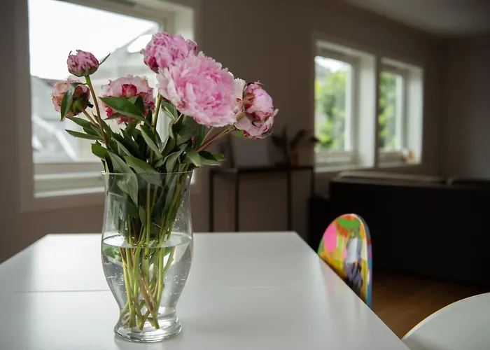 公寓 Spacious Apt, Big Roof Terrace, Free Parking *