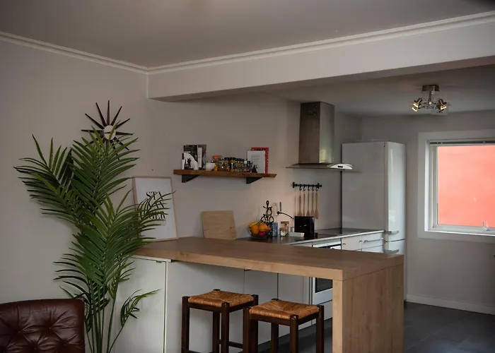 Spacious Apt, Big Roof Terrace, Free Parking 公寓 斯塔万格